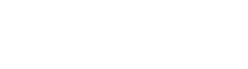 LCD Projector and Screen (1)