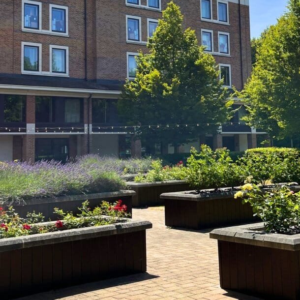 Brick apartment building with windows overlooking a landscaped courtyard of raised planters, trees, and string lights on a sunny day.