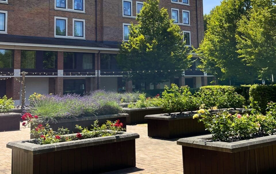 Brick apartment building with windows overlooking a landscaped courtyard of raised planters, trees, and string lights on a sunny day.