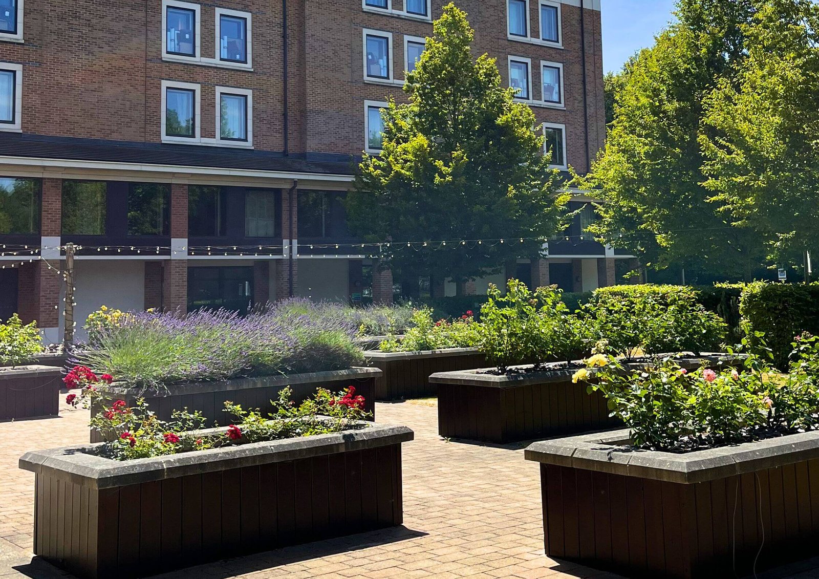 Brick apartment building with windows overlooking a landscaped courtyard of raised planters, trees, and string lights on a sunny day.